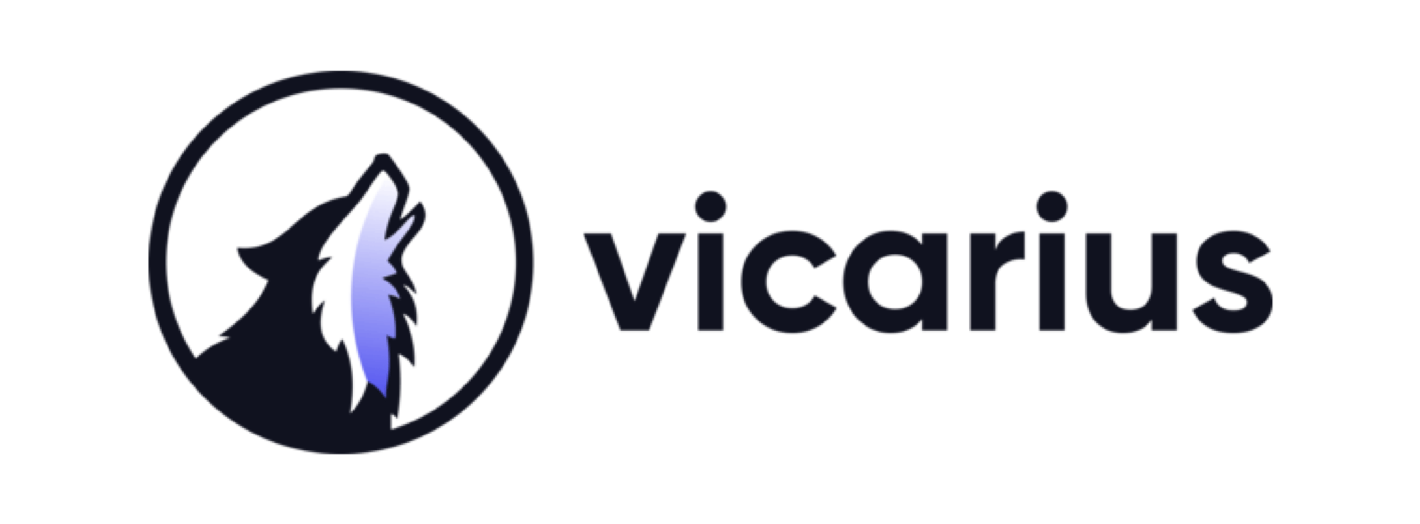 Summit-sponsor-vicarius